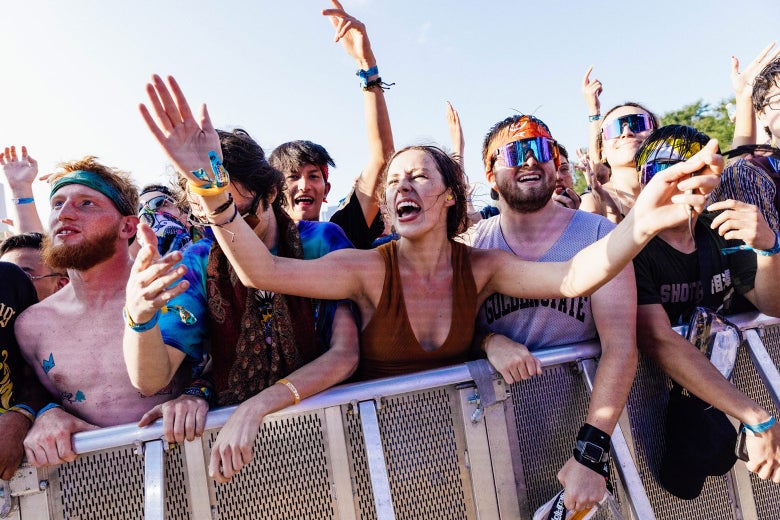 festival news